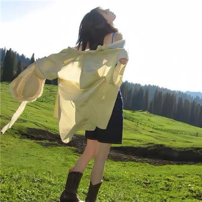 脂粉双枪侠