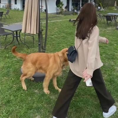 瞧瞧我们的电影